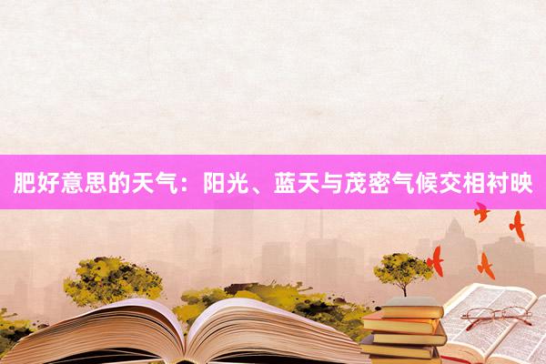 肥好意思的天气：阳光、蓝天与茂密气候交相衬映
